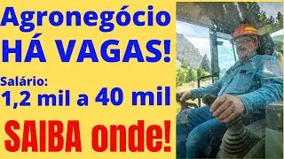 10 EMPREGOS do AGRONEGÓCIO com contratação IMEDIATA nas FAZENDAS! Veja onde estão as vagas!