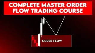 how to find order flow in forex | Master Order Flow Trading