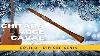 Din cer senin - voce, chitară și caval / Guitar Cover - Tutorial caval