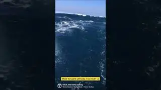 GALE force seas 🌊⛵😱