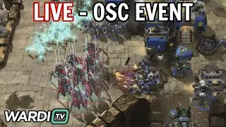 LIVE : OSC King of the Hill 239! [StarCraft 2]