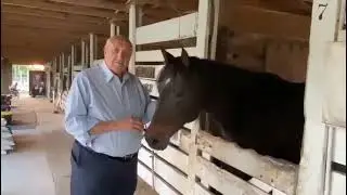 Surrounded by Sassy Sue and the other graceful horses