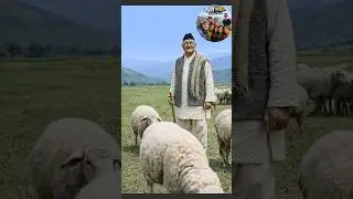 मेरो हालत यस्तै हुने होला है कमरेड हरु #kpoli #balenshah #maheshbasnet #foryou #funny #vairalvideo