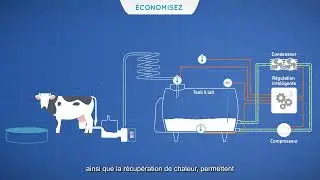 SERAP : motion design Opticool