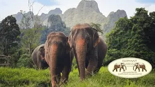 Elephant Hills, Khao Sok, Thailand