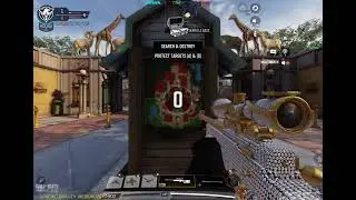 Zoo Comeback Nice shots