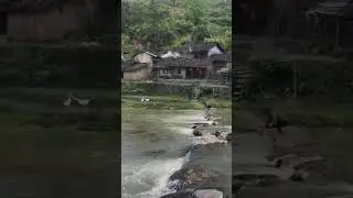 #village #views #nature #love #sort #video #nature lover