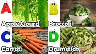 ABC Vegetables song | Alphabet Song for Kids | Fun Learning Video | Koko Study Class 2026