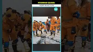 NDRF Team Conduct Search & Rescue Ops in Mandalay After Myanmar Earthquake #shorts