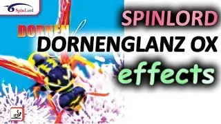 SPINLORD Dornenglanz OX effects against spin attacker играю ОХом у стола, эффекты от шипов