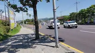 우당도서관 갈건데 버스서 내렸는데 이 지점이 갈필잃은데일걸. 노선은 우당도서관 입구임.. 건그렇고 좋아보여 일단 찍기  날좋은데 더운날