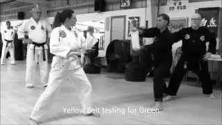 Kim Soo Karate of Baytown Students Breaking