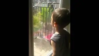 Toddler cleaning a window with his own spit.