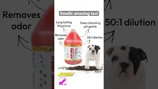 Try our Filthy Animal shampoo when you really need to deep clean 🧼 ✨ visit LaubeShop.com