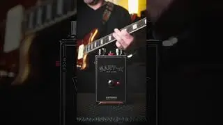 First notes with the new JHS Fuzzes (Berkeley, Mary-K, Plugin) #shorts