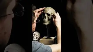Skull sculpture process #figuresculpting