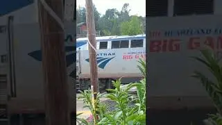 Amtrak big game locomotive rolls though Colfax CA.