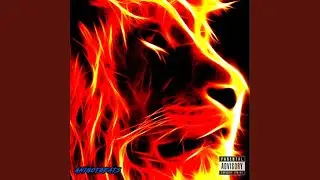 Lions