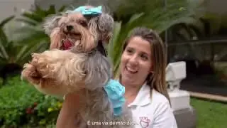 Simparic apresenta: O poder do Sim &ndash; Patas Therapeutas