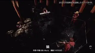 DISH// - 猫 / neko (Studio Live)