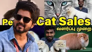 Master Vijay Cat Sales & How To Take Care Of Persian Cats / Persian Cats Vlog / Sam Joshua
