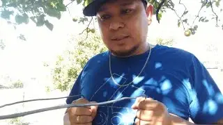 C&oacute;mo Encontrar Agua con Varillas (Funciona o Es un Mito?) La Verdad.