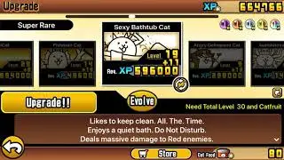 Bathtub cat Catfruit evolution