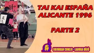 HATSUMI SENSEI BUJINKAN TAI KAI ESPAÑA ALICANTE 1996 Parte 2