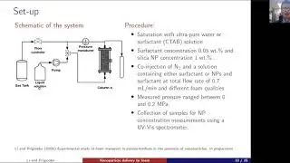Foam transport in porous media
