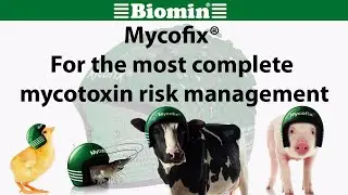 Mycofix® - For the most complete mycotoxin risk management