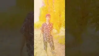 #shahjee