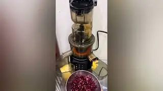 Faber Slow Juicer Review: How to Use and Make Mix Juice & Easy Cleaning at Home