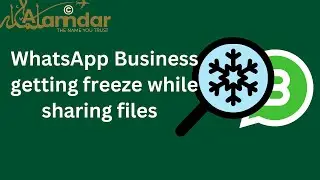 Whatsapp Business Getting Freeze while Sharing Files from Other Apps