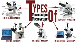 stereo microscope/compund microscope/inverted microscope/metallurgical microscope/Polarizing microsc