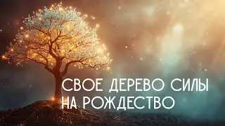 Как выбрать своё Дерево Силы на Рождество: проводник для исполнения желаний.