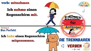 Separable Verbs in German: Practical Sentences for Everyday Use!