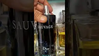 Pakka! Best Clone of Dior Sauvage #perfumes #shorts