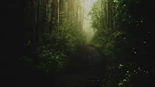 Etsu & Wandr - Sojourn