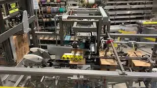 Case Packing | Wayne Automation