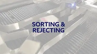 Sorting & Rejecting - Shuttleworth Product Handling