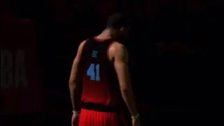 Domination game vs pelicans