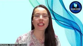 MICROVIDEO SESI&Oacute;N 4 PLAN DE MEDIOS Y PRESUPUESTOS &ndash; Selecci&oacute;n de Medios y Mix Internacional
