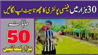Start A Fancy Poultry Farming And Earn Handsome Amount