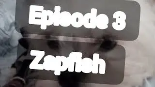 Shadow - Season 1 - Episode 3- Zapfish 