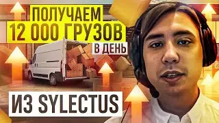 Как ДЕЛАТЬ БИДЫ в Sylectus? Этот МЕТОД увеличит количество ПОЛУЧЕННЫХ ГРУЗОВ