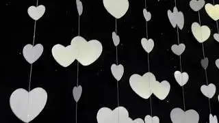 pinkblume Valentines Day Party Decorations White Heart Garland Love Heart Hanging Paper Streamer