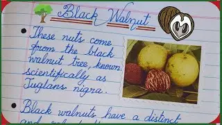Black Walnuts Essay in 5 Lines | Learning Few Lines on Black Walnuts | Short Essay on Black Walnuts🌿