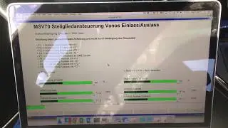 VANOS diagnosis with INPA