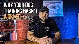 Why Your Dog Training Hasn’t Worked (The 4 Pillars Every Owner Needs)