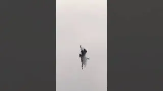 Displaypilot NOBLE 🔥🔥🔥 Training 2025 Bavarian Tigers TLG74 Neuburg German Eurofighter Demo Team